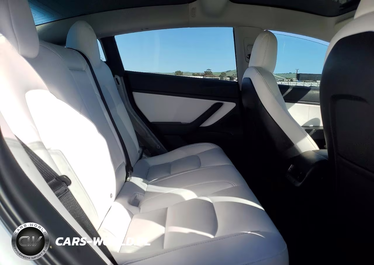 2018 Tesla Model 3 VIN:5YJ3E1EAXJF169595 - 10