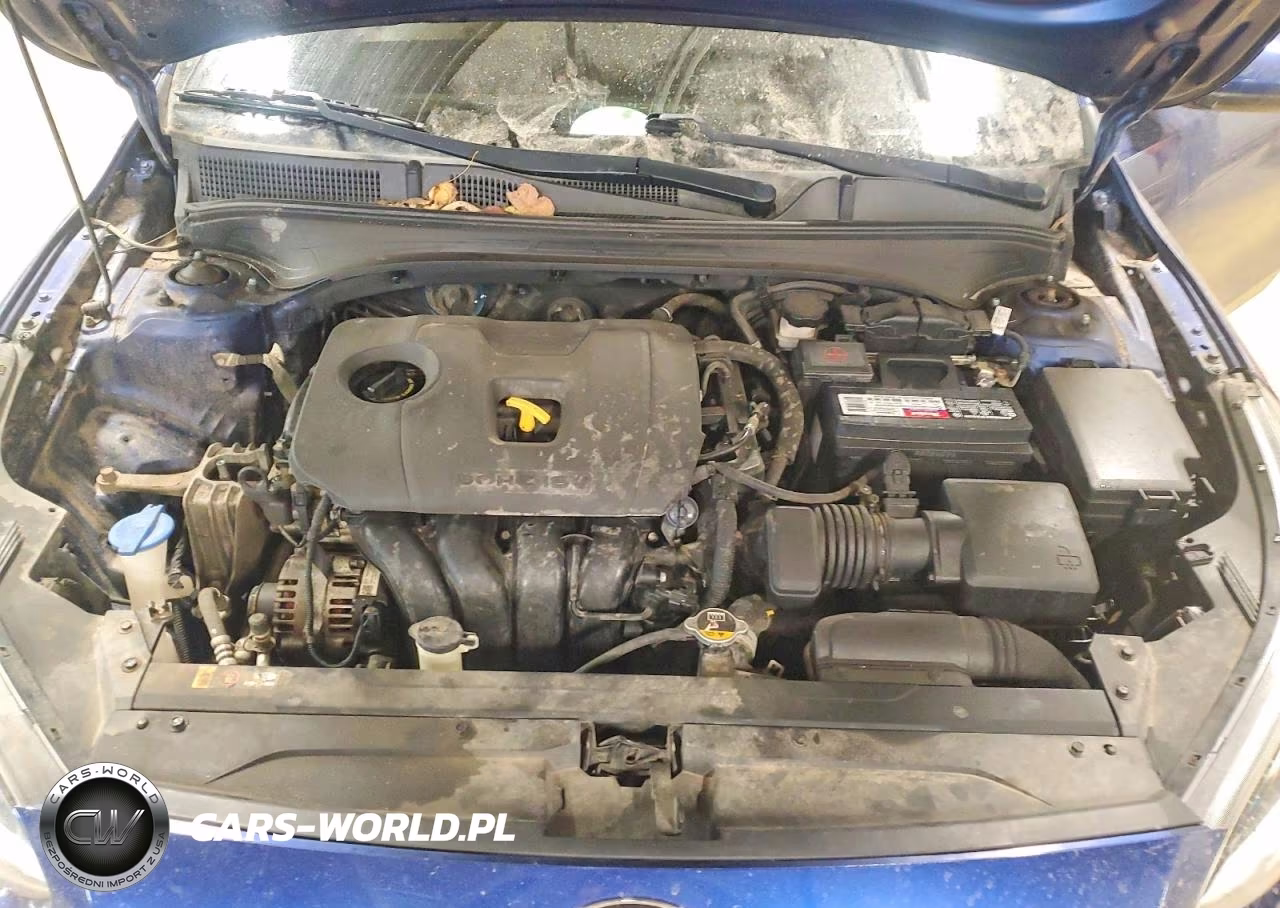 2019 Kia Forte Lxs VIN:3KPF24AD3KE016300 - 11