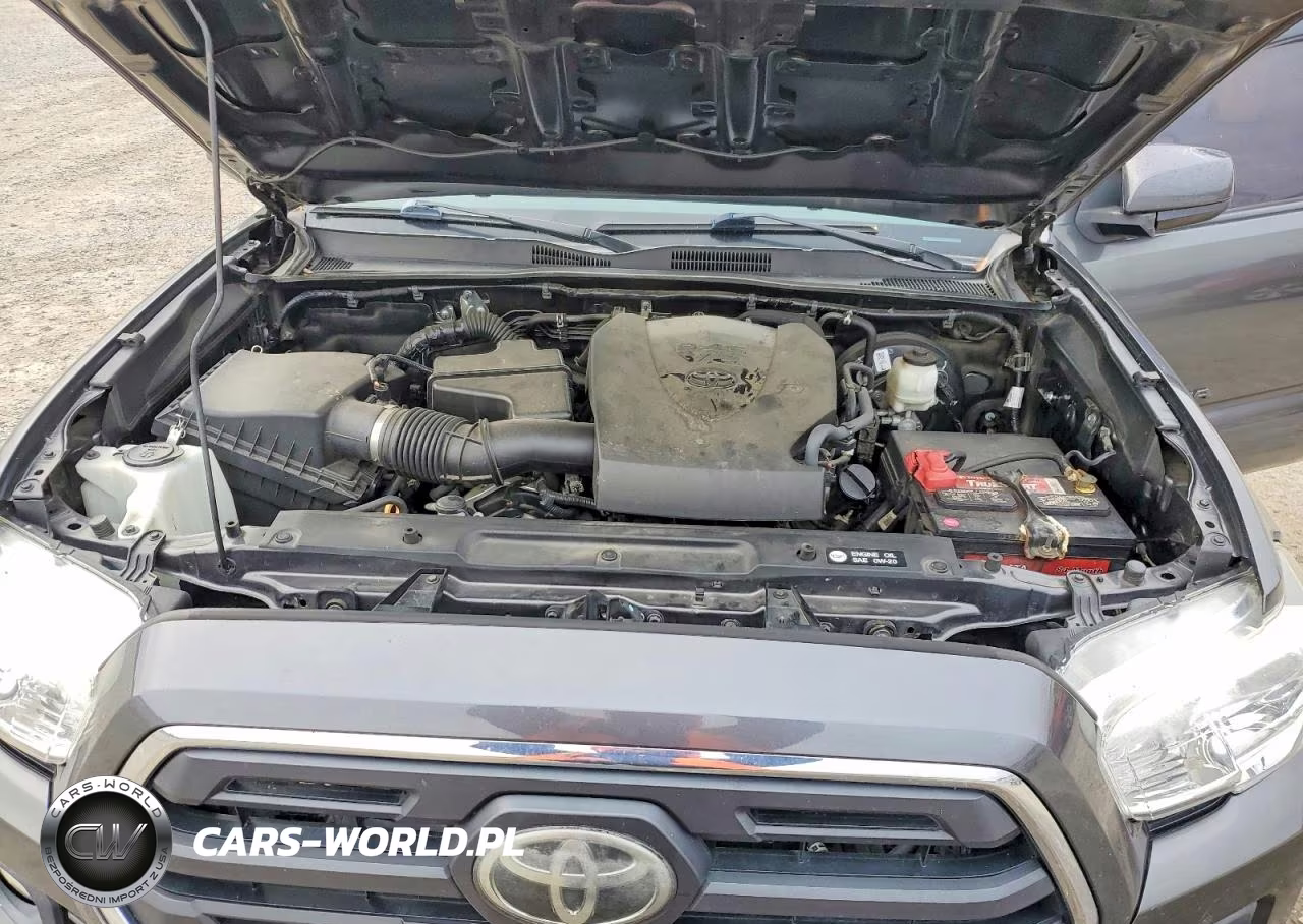 2019 Toyota Tacoma Sr5 V6 VIN:3TMCZ5AN4KM206206 - 11