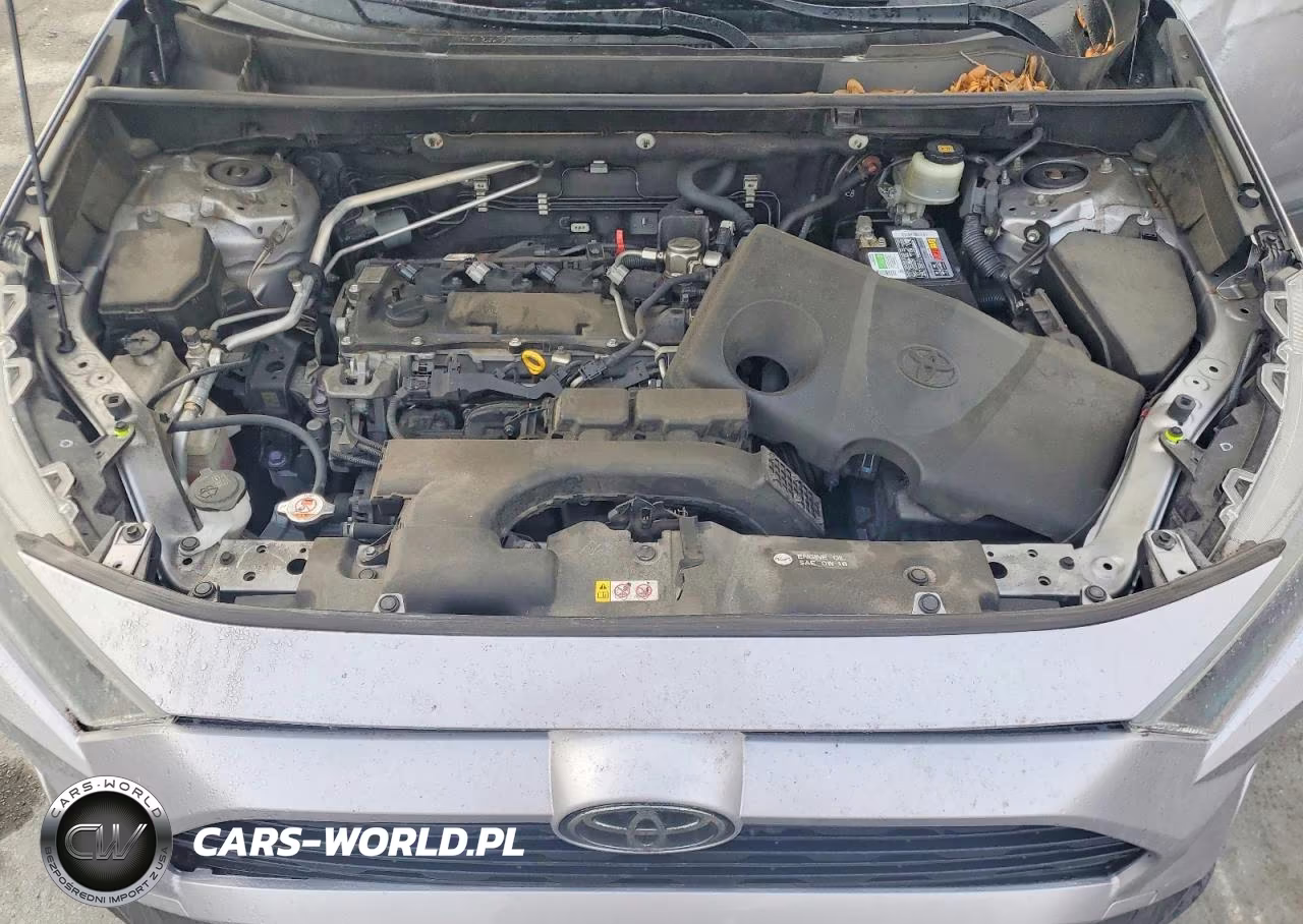 2019 Toyota Rav4 Le VIN:JTMH1RFV8KD006762 - 12