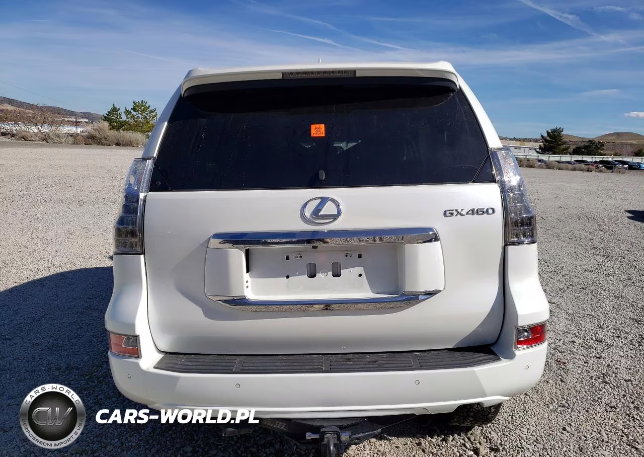 2019 Lexus Gx 460 Luxury VIN:JTJJM7FX9K5210993 - 6
