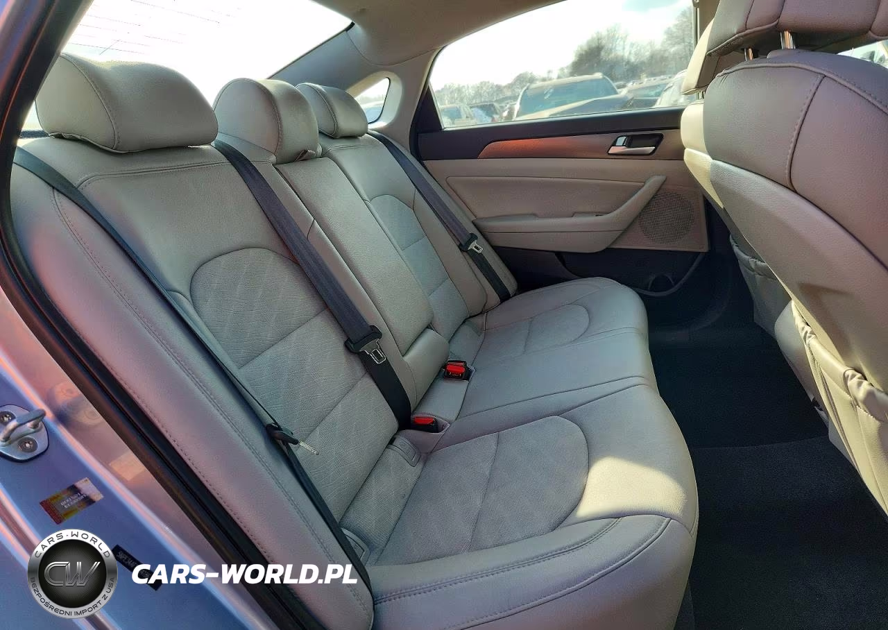 2016 Hyundai Sonata Sport VIN:5NPE34AF1GH418636 - 10