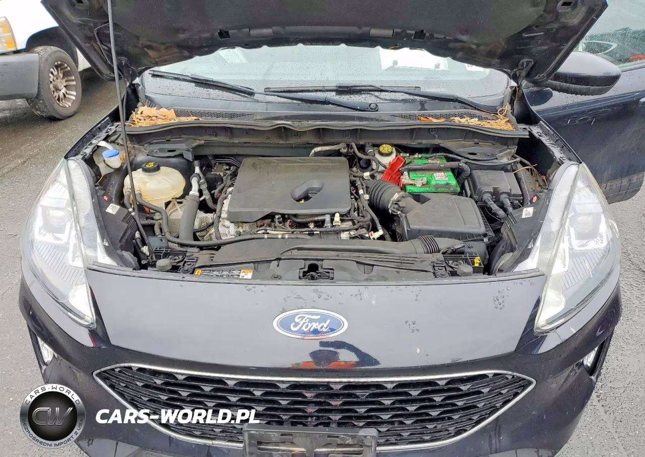 2020 Ford Escape Sel VIN:1FMCU9H67LUA14727 - 11