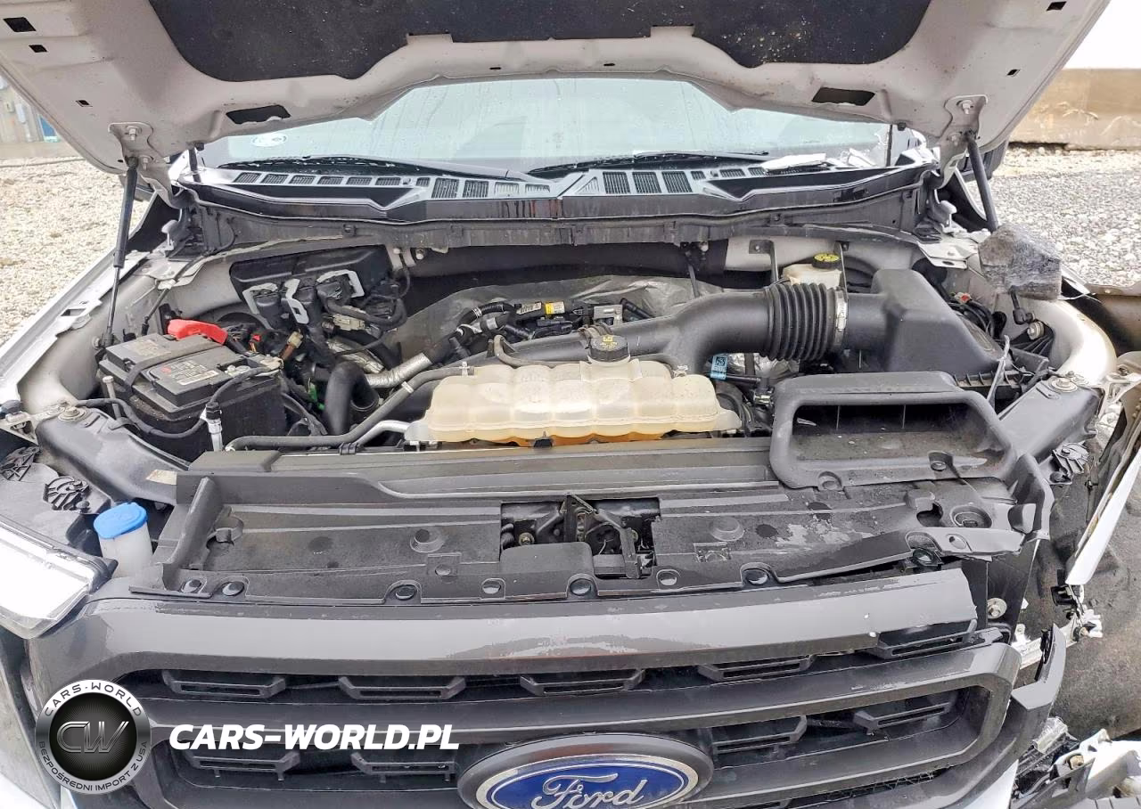 2022 Ford F150 Supercrew VIN:1FTEW1EP5NKD64412 - 11