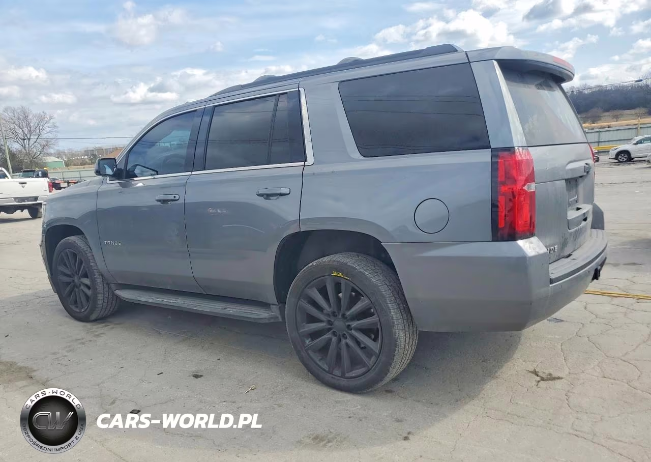 2019 Chevrolet Tahoe C1500 Ls VIN:1GNSCAEC5KR256925 - 2