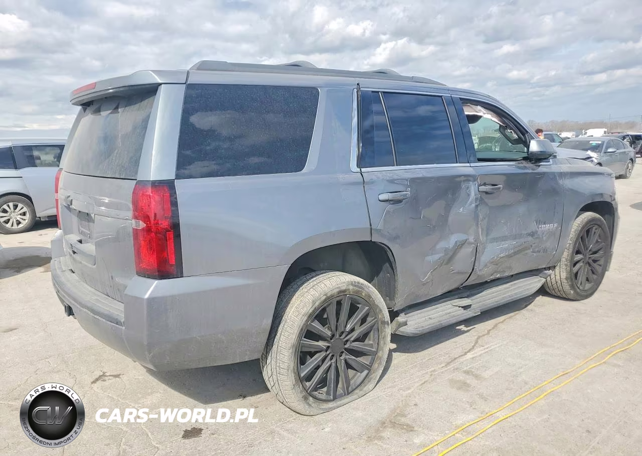 2019 Chevrolet Tahoe C1500 Ls VIN:1GNSCAEC5KR256925 - 3