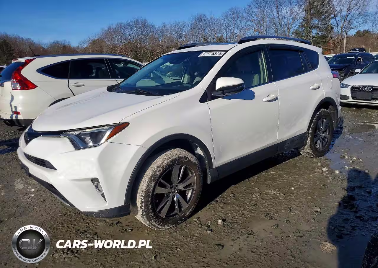2018 Toyt Rav4 Adven
