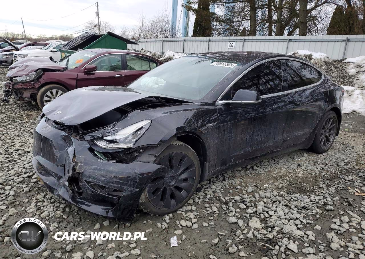 2019 Tesla Model 3