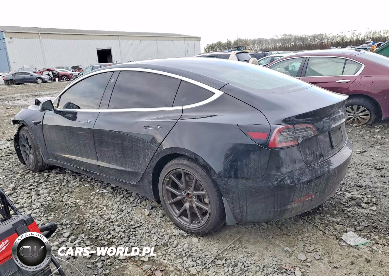 2019 Tesla Model 3 VIN:5YJ3E1EA9KF304311 - 2