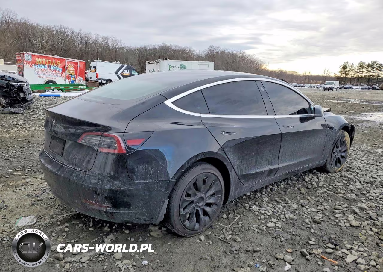 2019 Tesla Model 3 VIN:5YJ3E1EA9KF304311 - 3