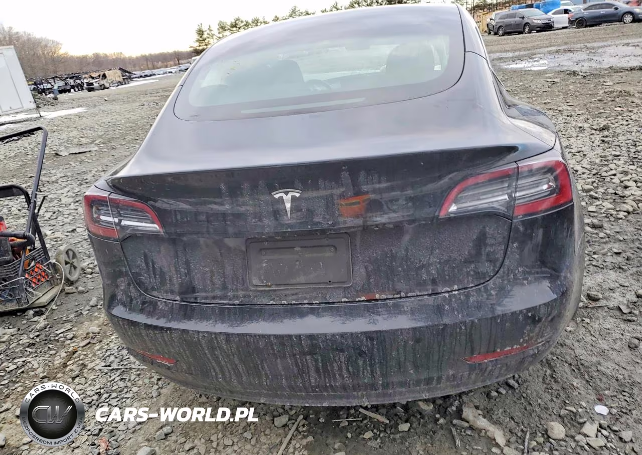 2019 Tesla Model 3 VIN:5YJ3E1EA9KF304311 - 6