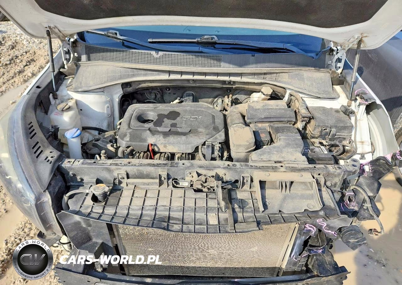 2019 Kia Sorento Lx VIN:5XYPG4A35KG435717 - 12