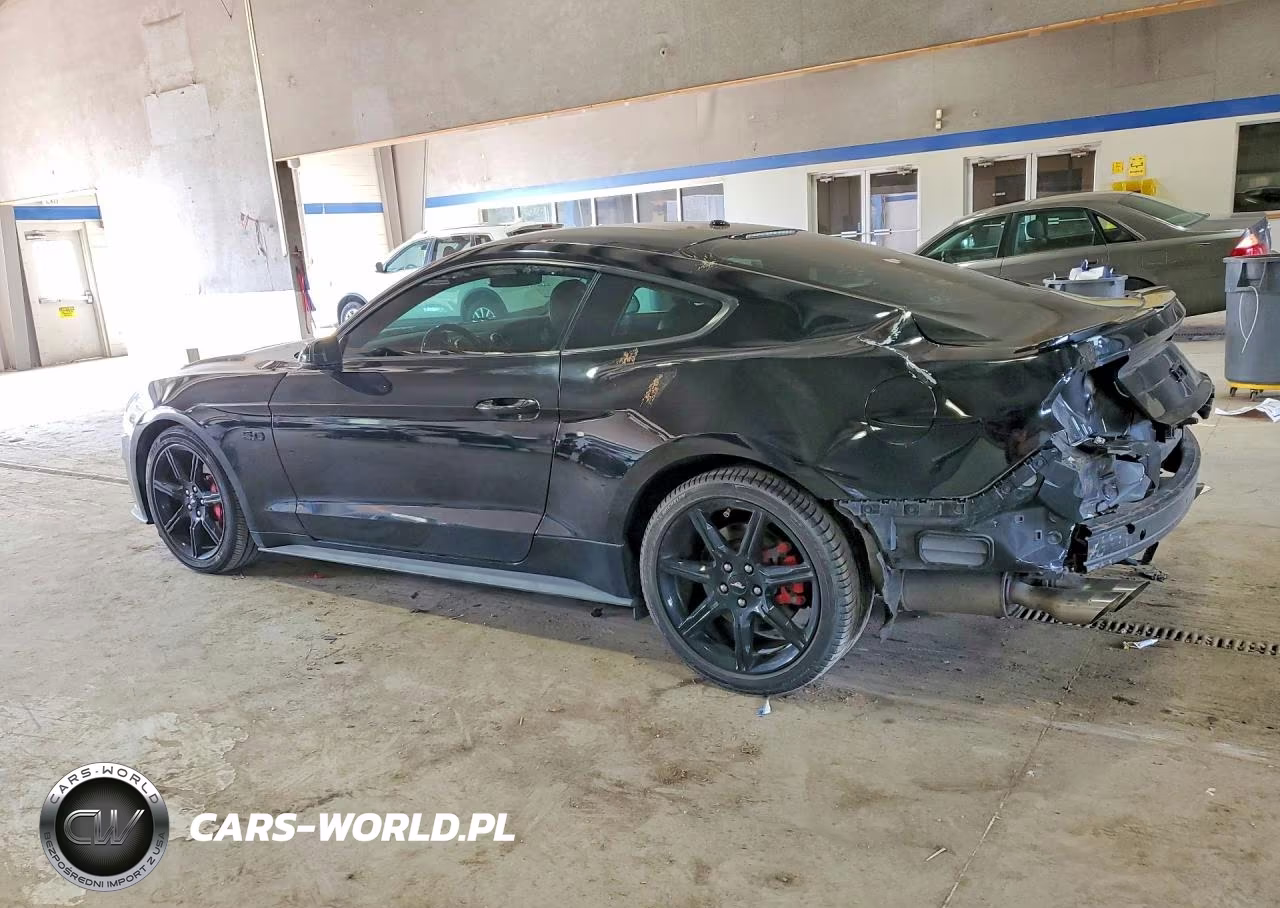 2019 Ford Mustang Gt VIN:1FA6P8CF1K5129817 - 2