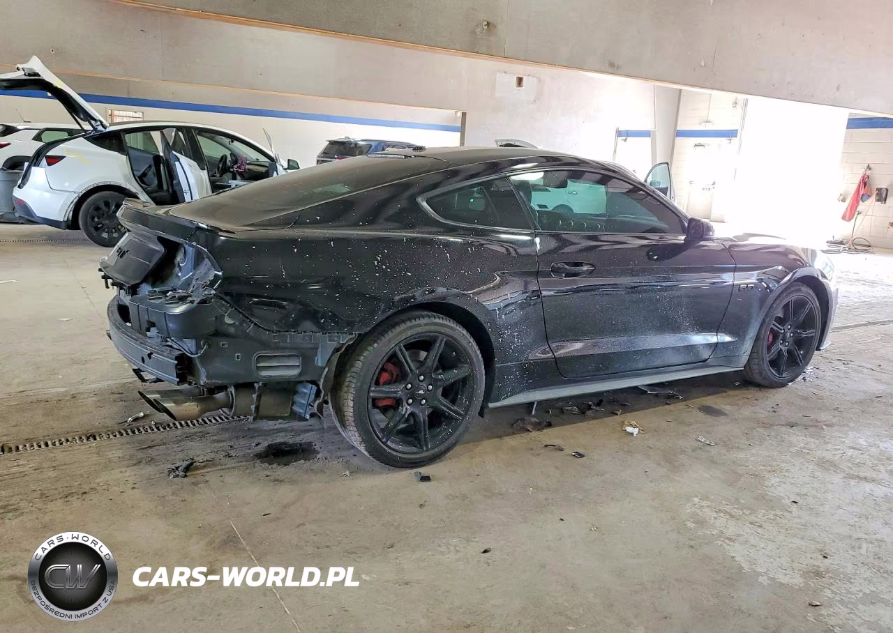 2019 Ford Mustang Gt VIN:1FA6P8CF1K5129817 - 3