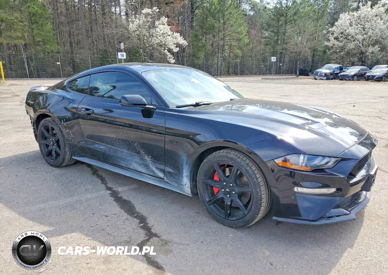 2019 Ford Mustang Gt VIN:1FA6P8CF1K5129817 - 4