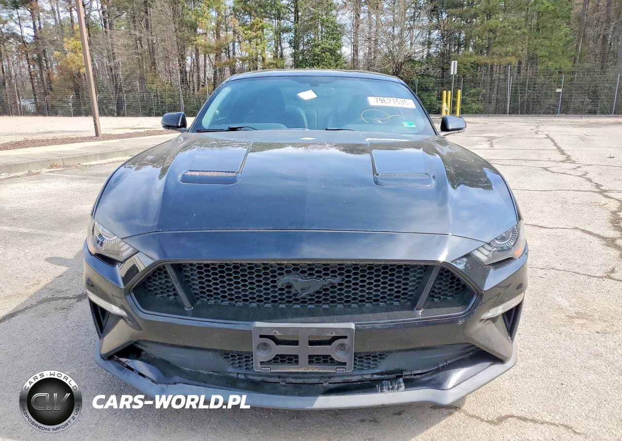 2019 Ford Mustang Gt VIN:1FA6P8CF1K5129817 - 5
