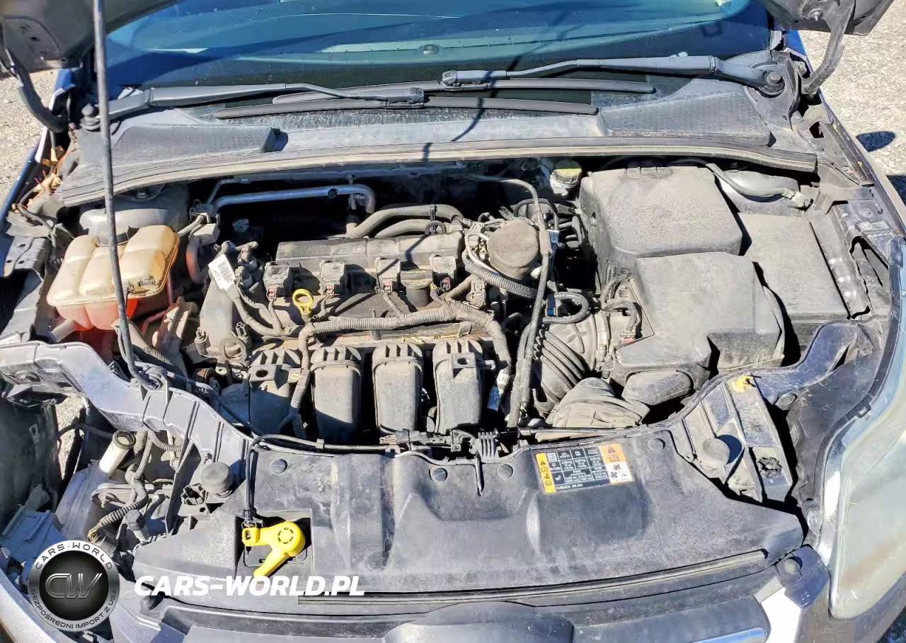 2014 Ford Focus Se VIN:1FADP3F21EL323962 - 11