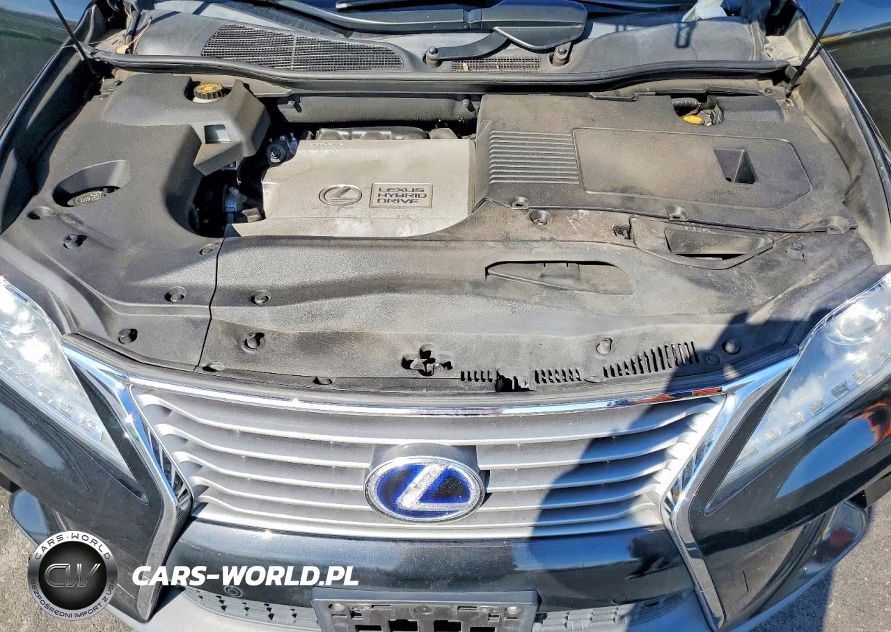2013 Lexus Rx 450H VIN:JTJBC1BA9D2059681 - 11