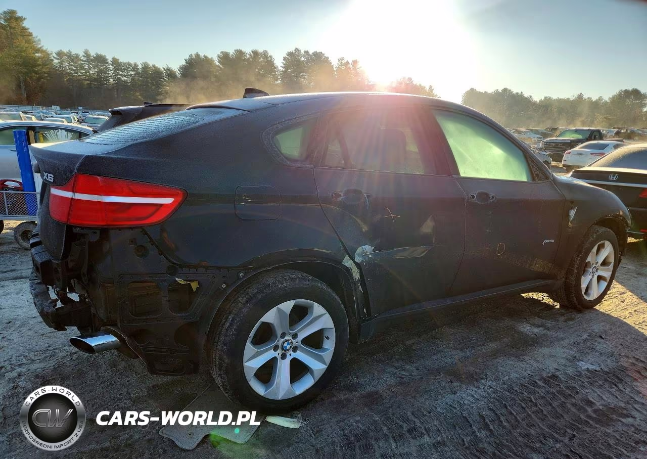 2014 BMW X6 xDrive35I VIN:5UXFG2C54E0H11489 - 3