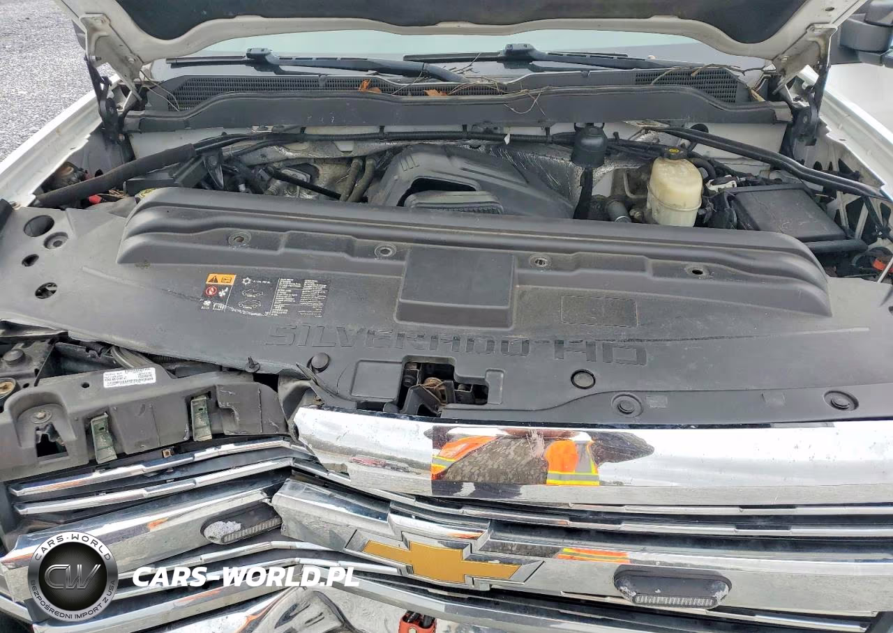 2016 Chevrolet Silverado K2500 Heavy Duty VIN:1GC2KUEG2GZ378360 - 11