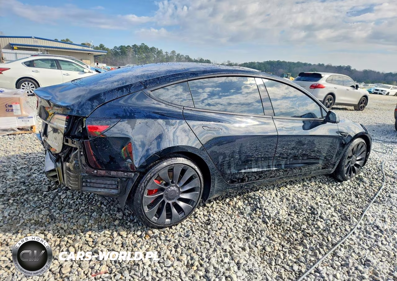 2023 Tesla Model 3 VIN:5YJ3E1ECXPF600866 - 3