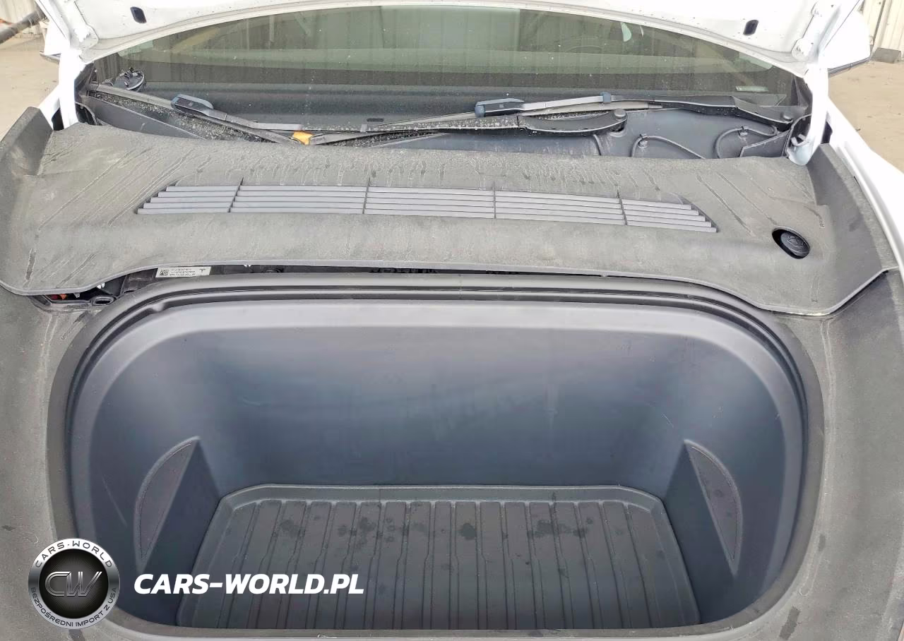 2024 Tesla Model Y VIN:7SAYGDEEXRA263976 - 11