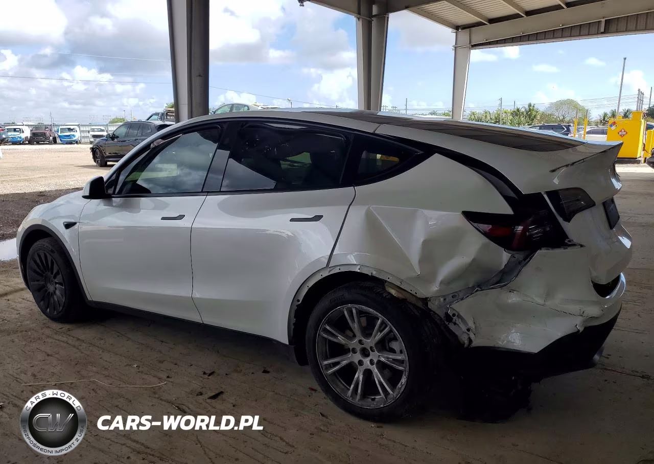 2024 Tesla Model Y VIN:7SAYGDEEXRA263976 - 2