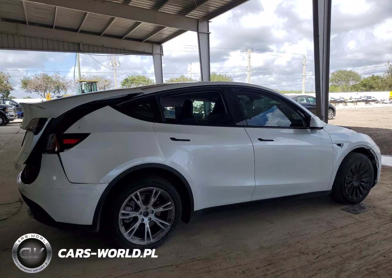 2024 Tesla Model Y VIN:7SAYGDEEXRA263976 - 3