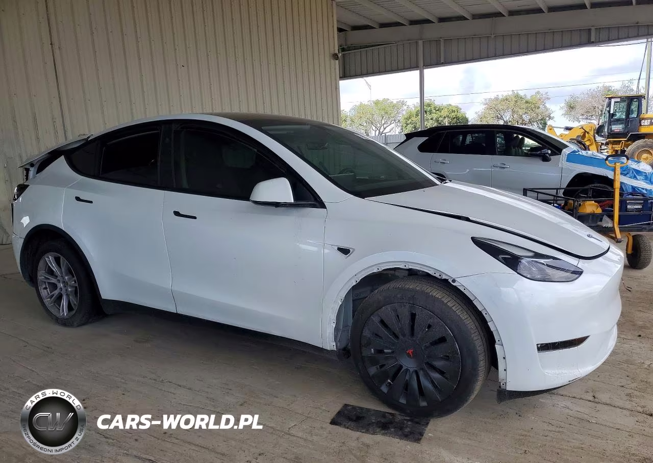 2024 Tesla Model Y VIN:7SAYGDEEXRA263976 - 4