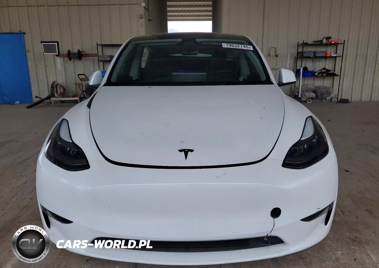 2024 Tesla Model Y VIN:7SAYGDEEXRA263976 - 5