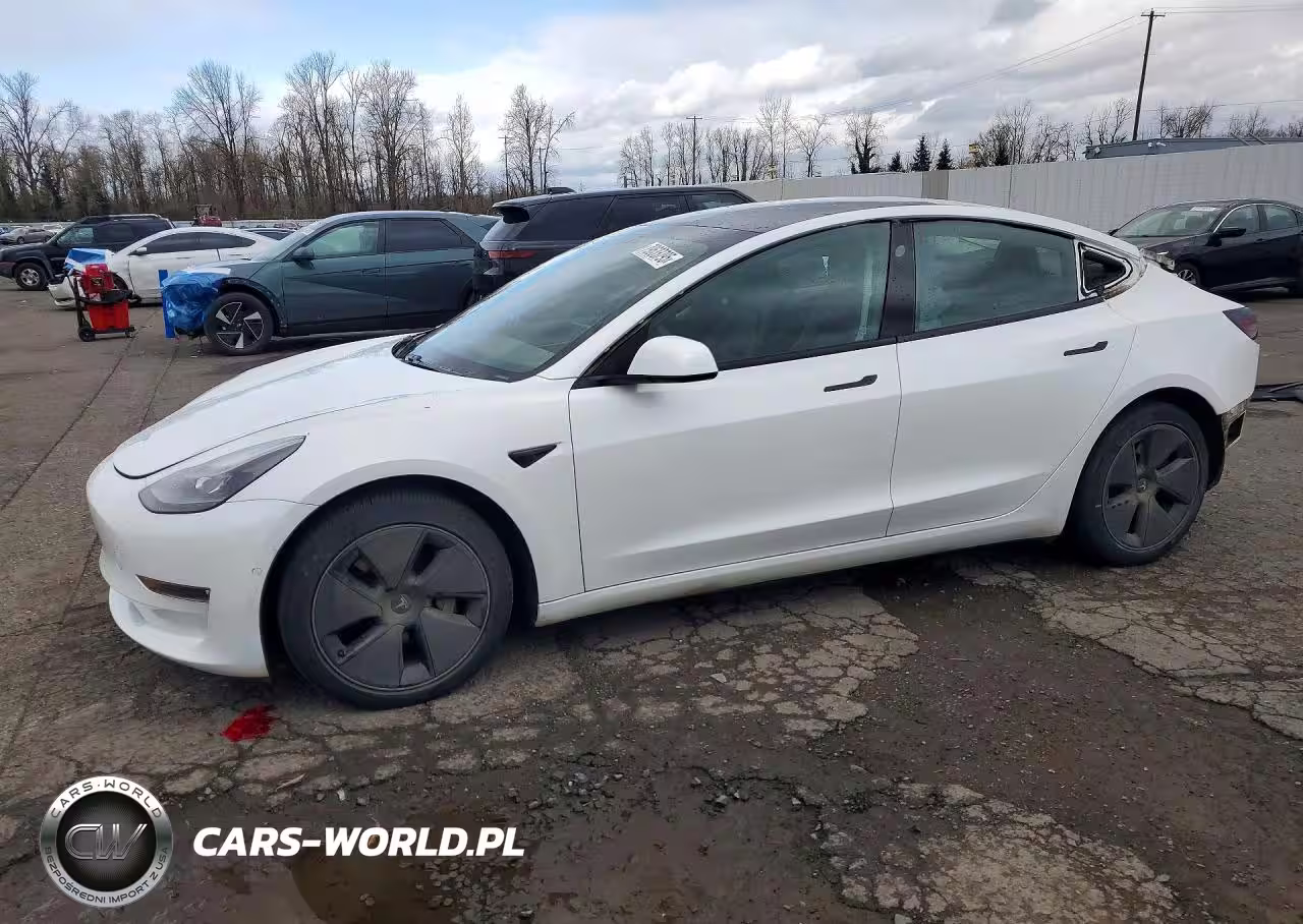 2021 Tesla Model 3