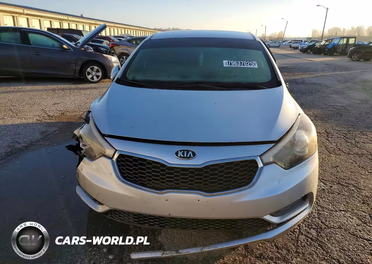 2015 Kia Forte Lx VIN:KNAFK4A63F5297126 - 5