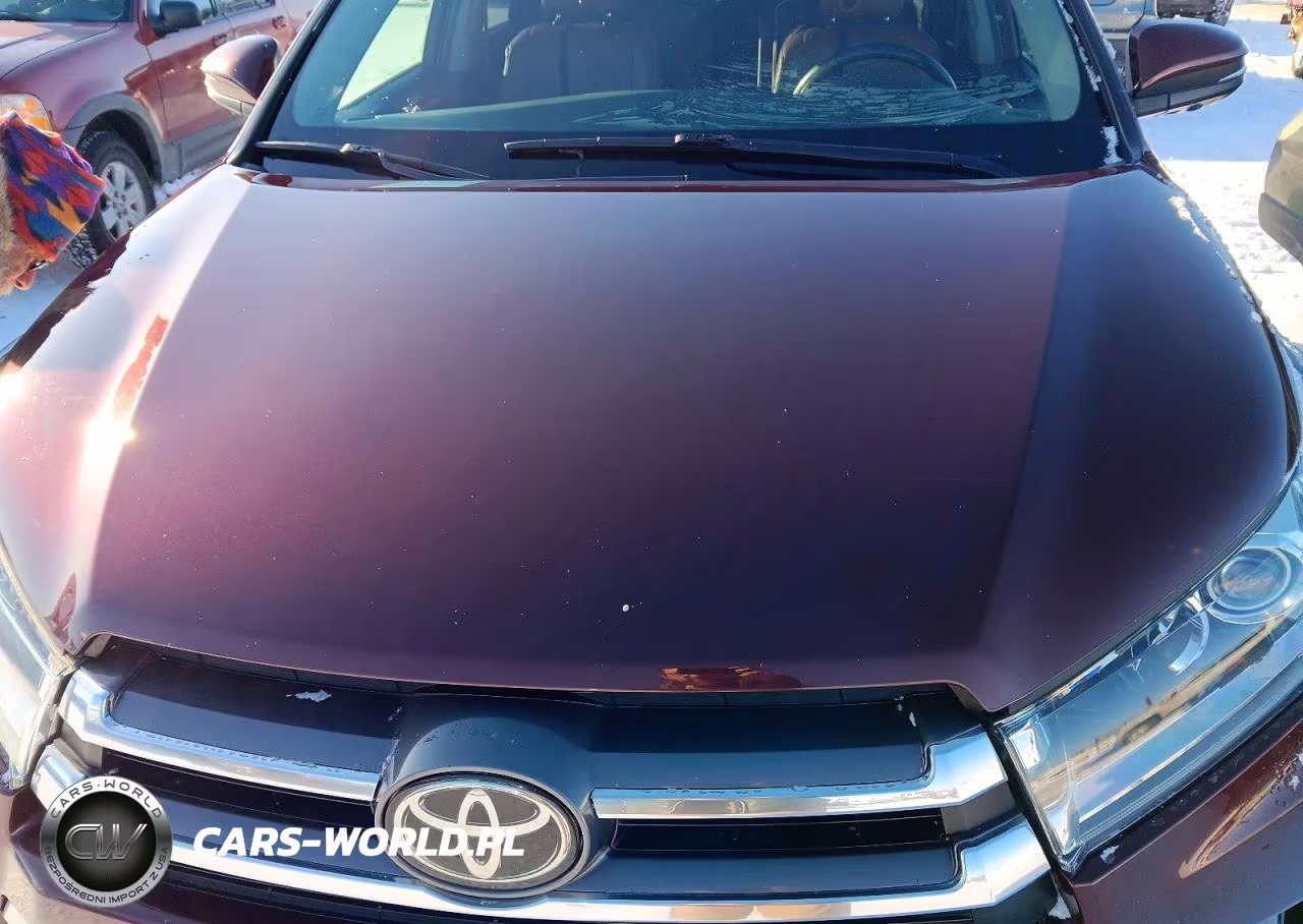 2019 Toyota Highlander Limited Platinum VIN:5TDDZRFH3KS956033 - 11