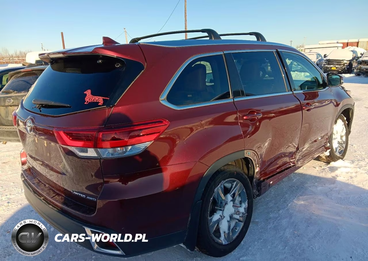 2019 Toyota Highlander Limited Platinum VIN:5TDDZRFH3KS956033 - 3