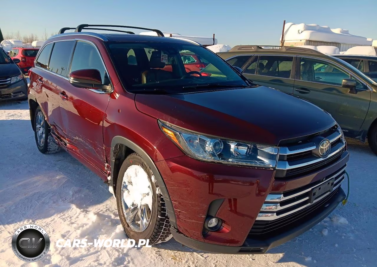 2019 Toyota Highlander Limited Platinum VIN:5TDDZRFH3KS956033 - 4