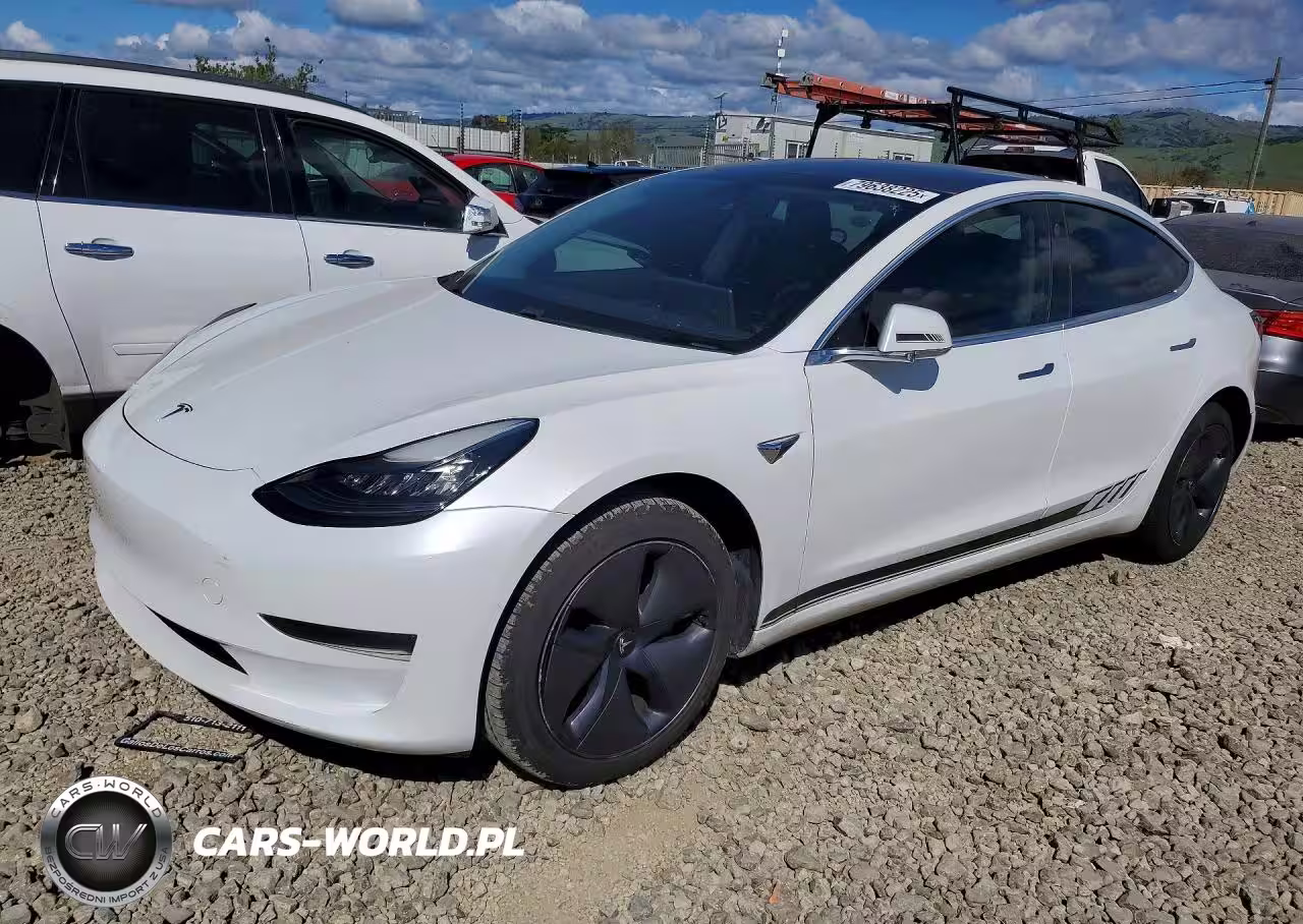 2019 Tesla Model 3