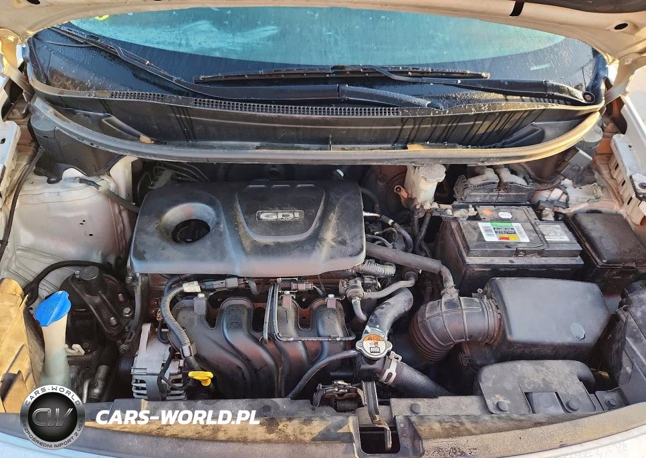2016 Kia Rio Lx VIN:KNADM4A33G6633523 - 22