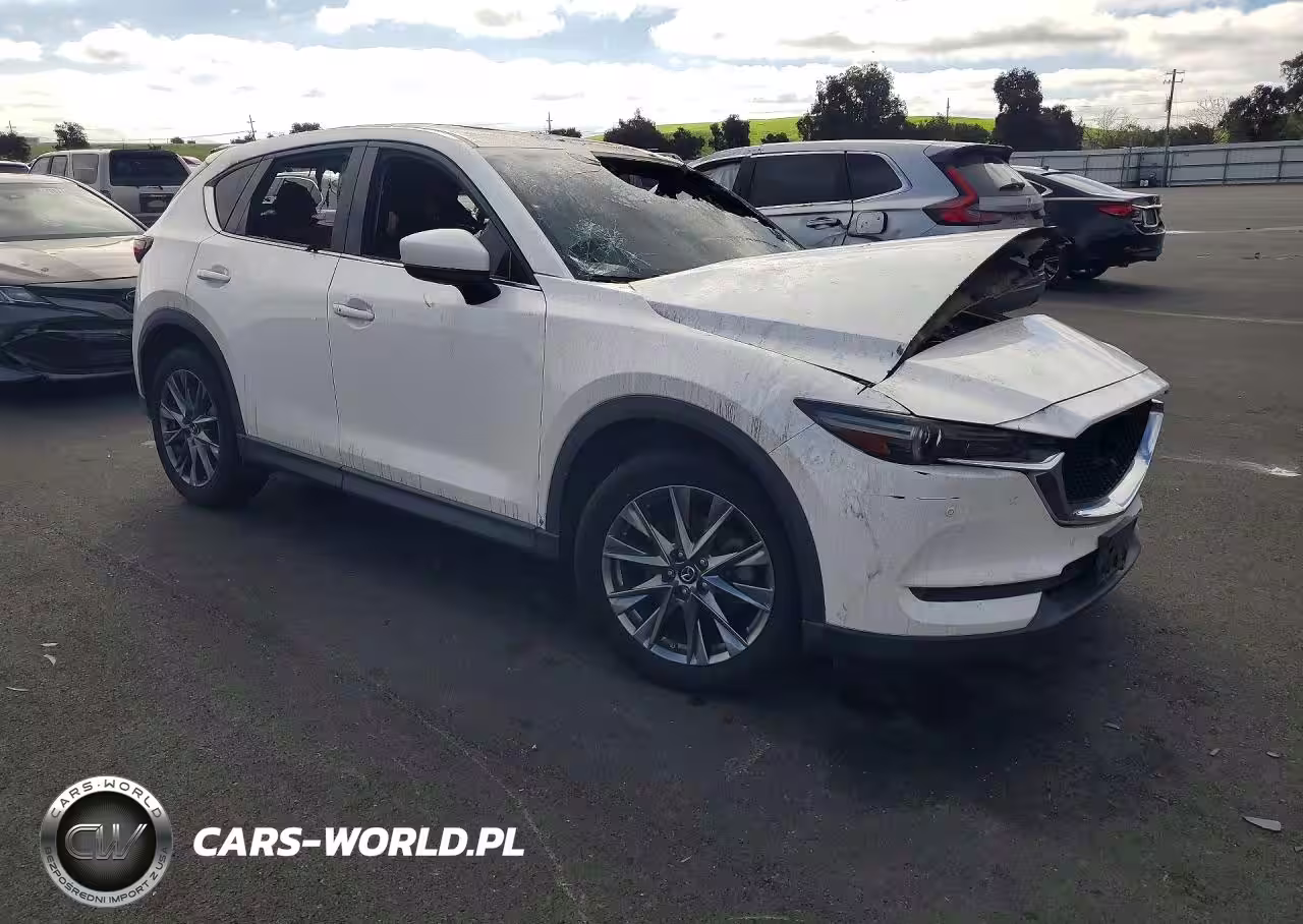 2019 Mazda Cx-5 Signature VIN:JM3KFBE2XK0655614 - 4