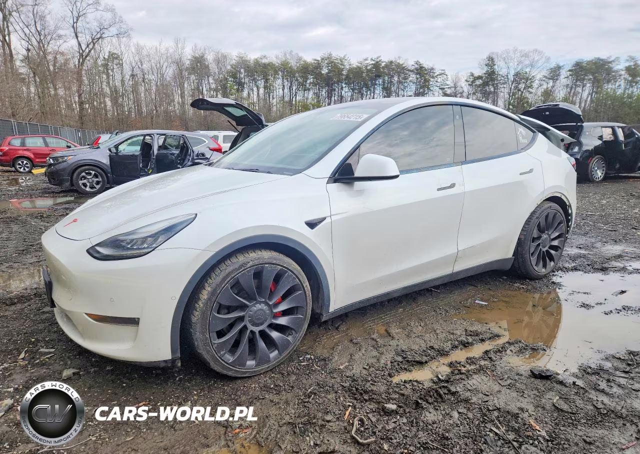 2020 Tesla Model Y