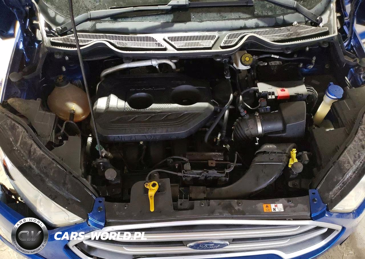 2021 Ford Ecosport Se VIN:MAJ6S3GL8MC402378 - 11