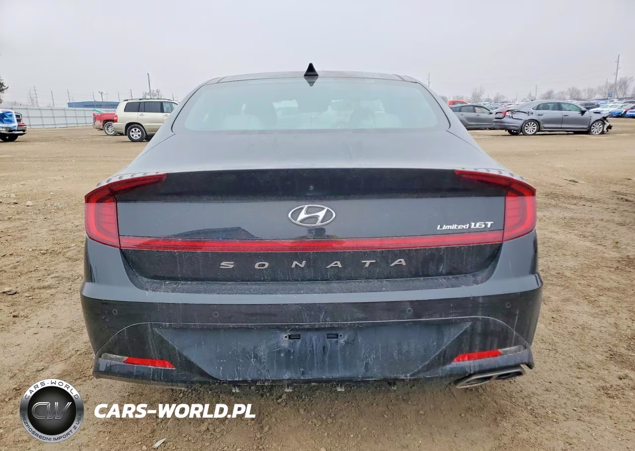 2020 Hyundai Sonata Limited VIN:5NPEH4J26LH009962 - 6