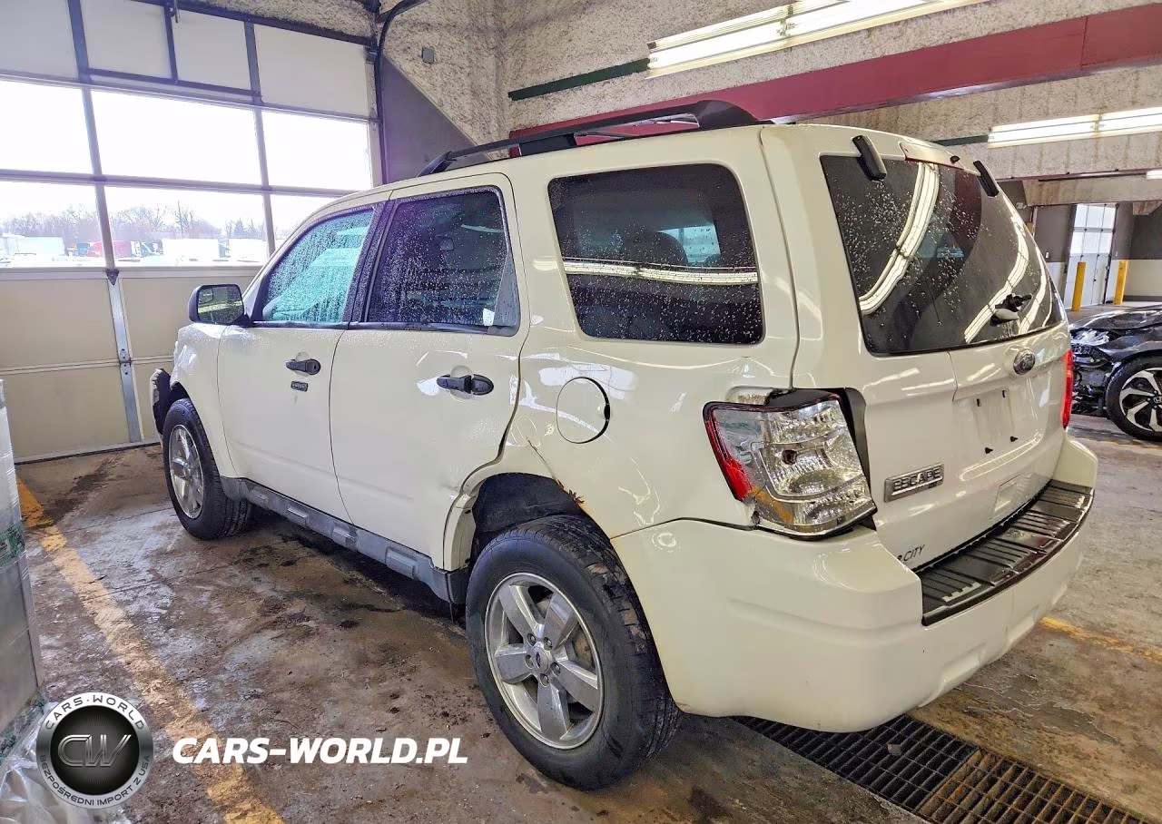 2011 Ford Escape Xlt VIN:1FMCU0D7XBKC07409 - 2