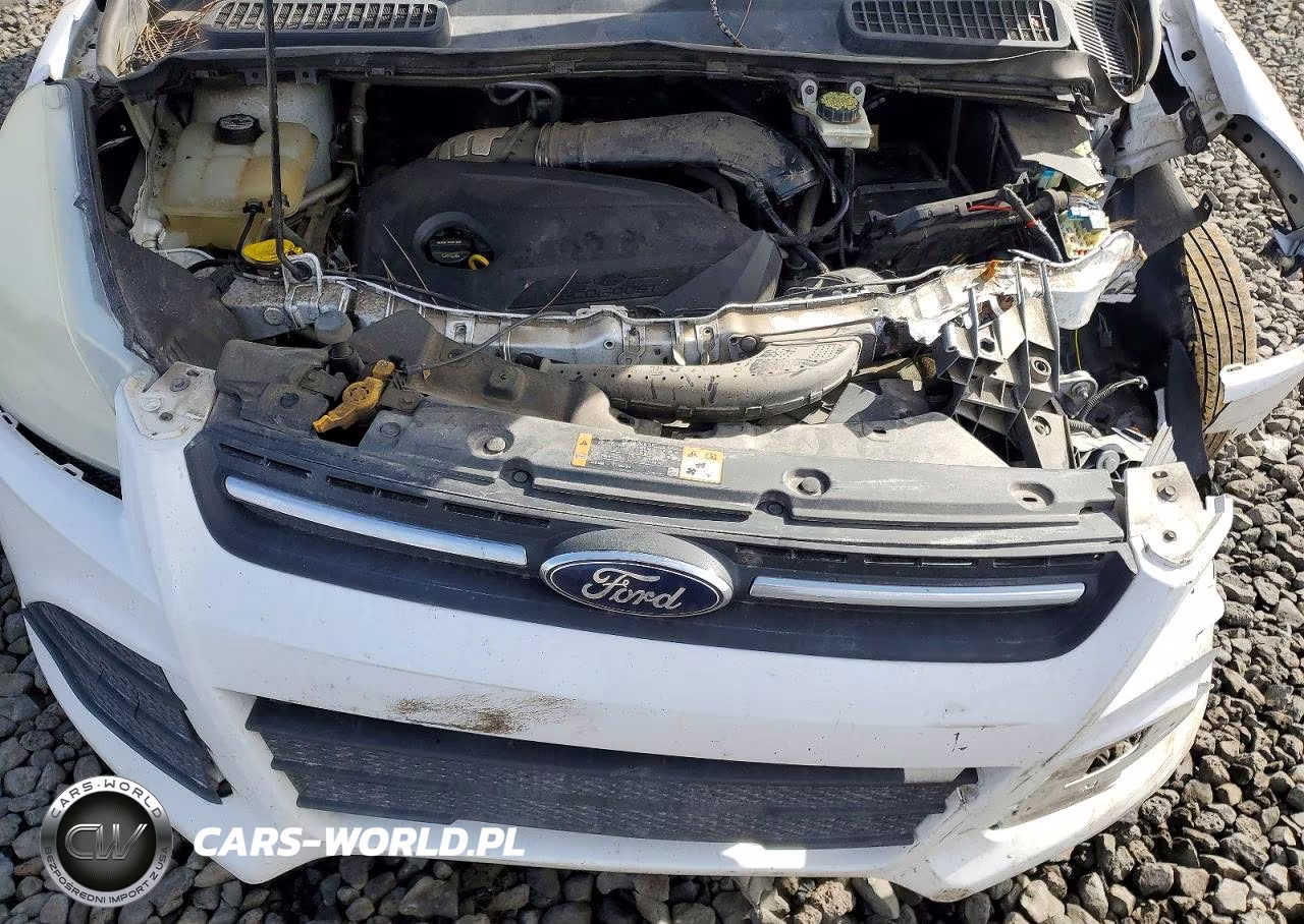 2014 Ford Escape Se VIN:1FMCU9GX0EUD32153 - 12