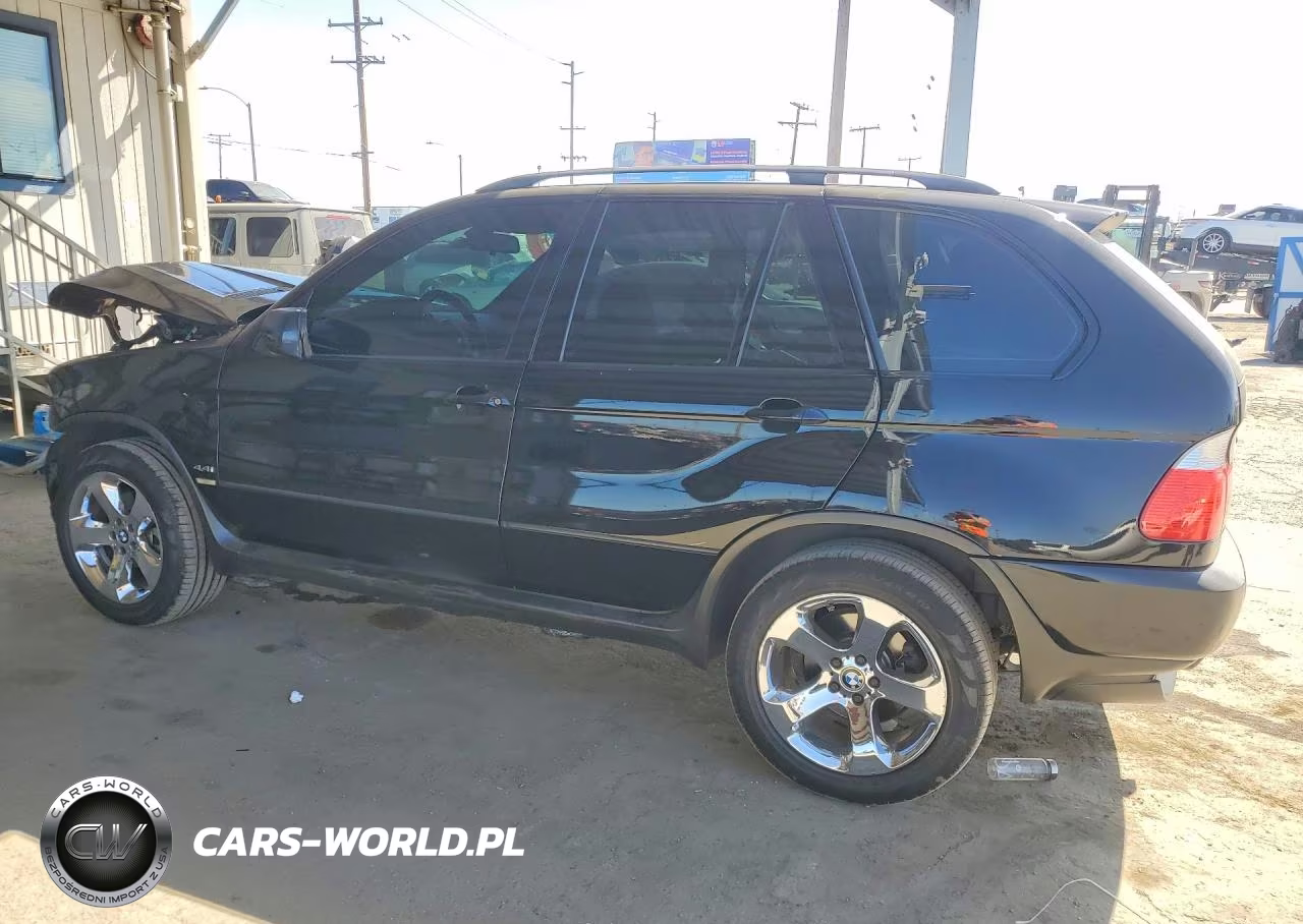 2004 BMW X5 4.4I VIN:5UXFB53544LV04398 - 2