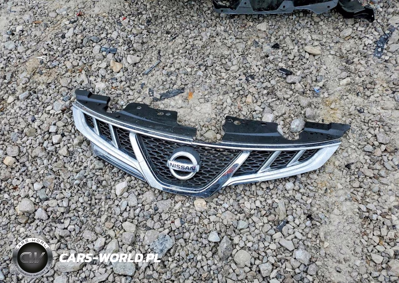 2013 Nissan Murano S VIN:JN8AZ1MW6DW304679 - 13