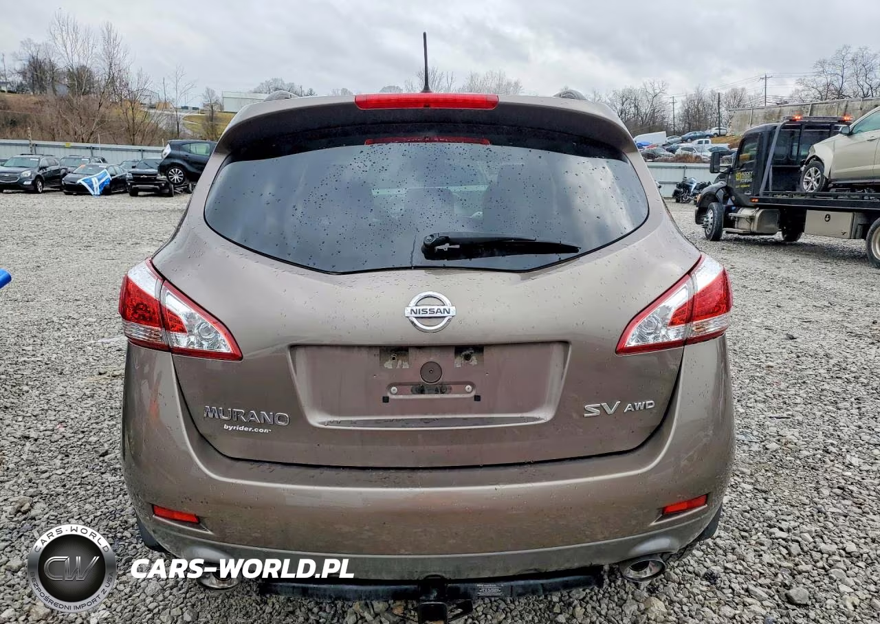 2013 Nissan Murano S VIN:JN8AZ1MW6DW304679 - 6