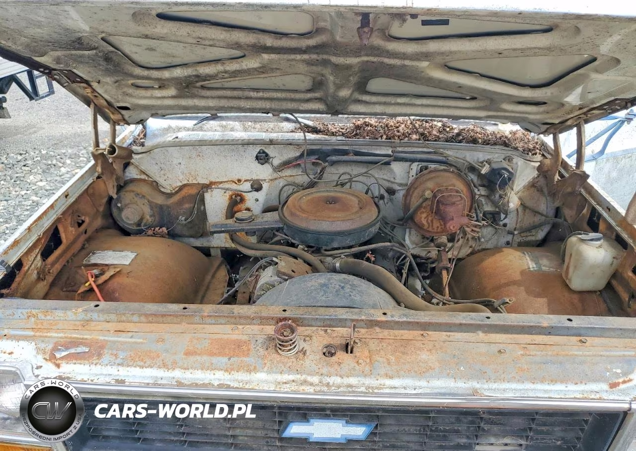 1973 Chevrolet Flatbed Truck VIN:CCY333Z179926 - 11