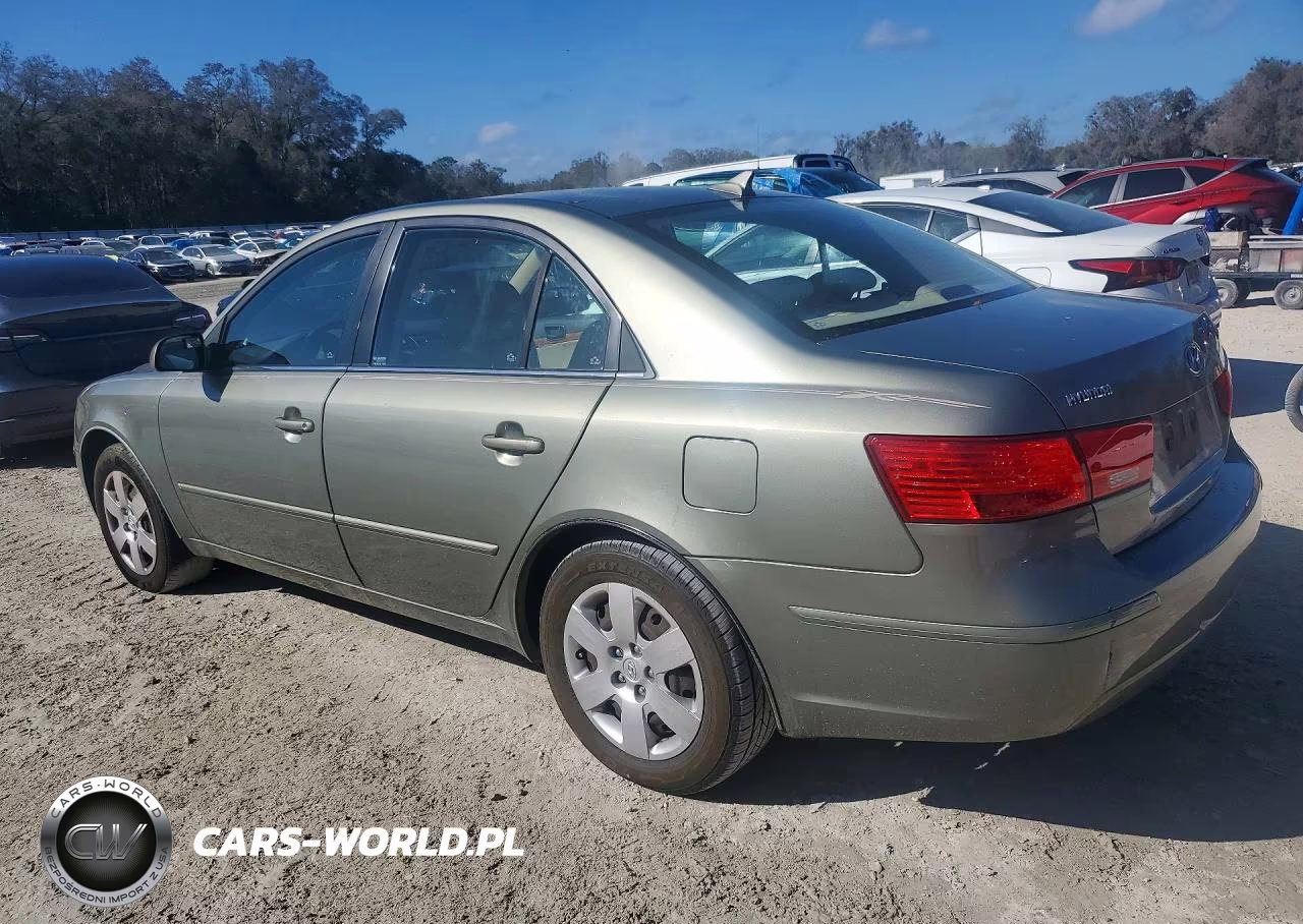 2010 Hyundai Sonata Gls VIN:5NPET4AC3AH611500 - 2