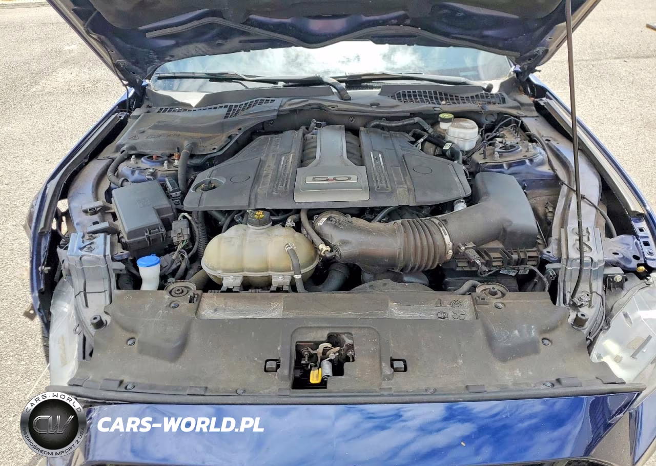 2020 Ford Mustang Gt VIN:1FA6P8CF3L5182813 - 11