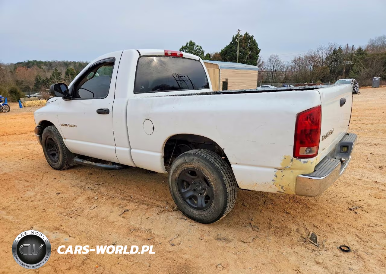 2002 Dodge Ram 1500 VIN:1D7HA16K62J219062 - 2